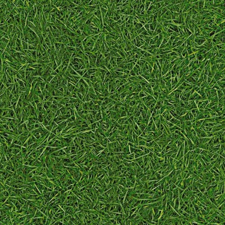 094 grass 094 grass