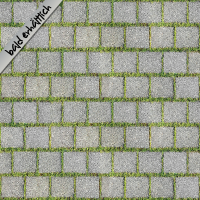 Rasenpflaster Rasenpflaster