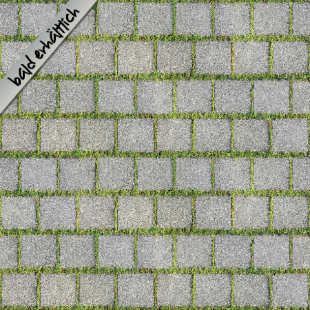 Rasenpflaster Rasenpflaster